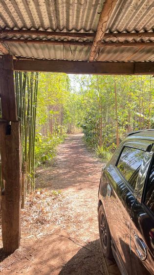 ขายที่ดินทำเลดี ราคาคุ้มค่า ตำบลเซิม อำเภอ โพนพิสัย จังหวัด หนองคาย เหมาะสำหรับทำการเกษตร ปลูกพืช ทำสวน หรือเลี้ยงสัตว์