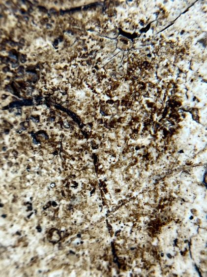 พระสมเด็จวัดระฆังพิมพ์อกครุฑ ศีลบาตร เนื้อแตกลายรายงานสวรรคโลกเก่าสวย รูปที่ 15