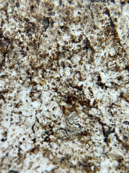 พระสมเด็จวัดระฆังพิมพ์อกครุฑ ศีลบาตร เนื้อแตกลายรายงานสวรรคโลกเก่าสวย รูปที่ 14