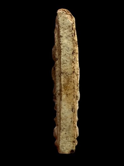 พระสมเด็จวัดระฆังพิมพ์ใหญ่เกศทะลุซุ้มสองหน้าเนื้อหาเก่าสวย รูปที่ 3