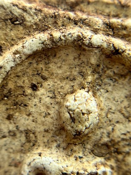 พระสมเด็จวัดระฆังพิมพ์ใหญ่เกศทะลุซุ้มสองหน้าเนื้อหาเก่าสวย รูปที่ 12