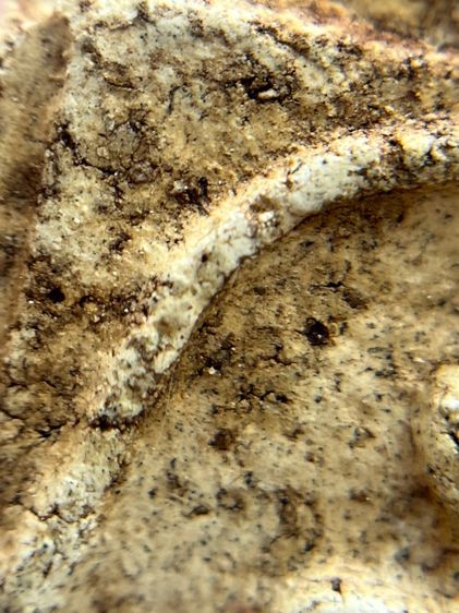 พระสมเด็จวัดระฆังพิมพ์ใหญ่เกศทะลุซุ้มสองหน้าเนื้อหาเก่าสวย รูปที่ 11