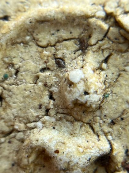 พระสมเด็จวัดระฆัง รูปที่ 10