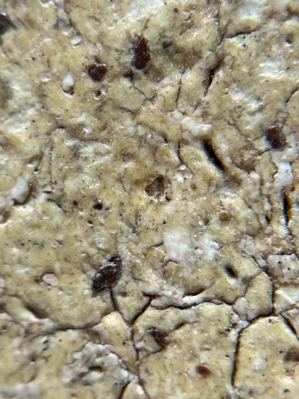 พระสมเด็จวัดระฆัง รูปที่ 14