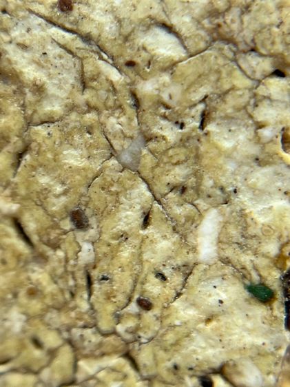 พระสมเด็จวัดระฆัง รูปที่ 16