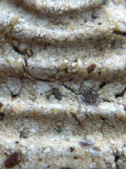 พระสมเด็จวัดระฆัง รูปที่ 6