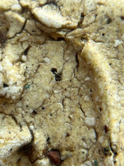 พระสมเด็จวัดระฆัง รูปที่ 9