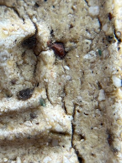 พระสมเด็จวัดระฆัง รูปที่ 8