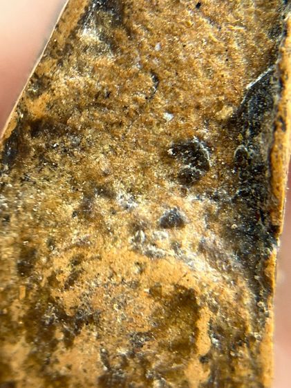 พระผงสุพรรณ รูปที่ 8