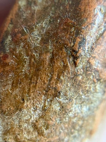 พระเลี่ยง รูปที่ 11