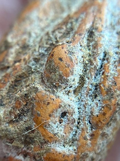 พระนางพญา รูปที่ 9