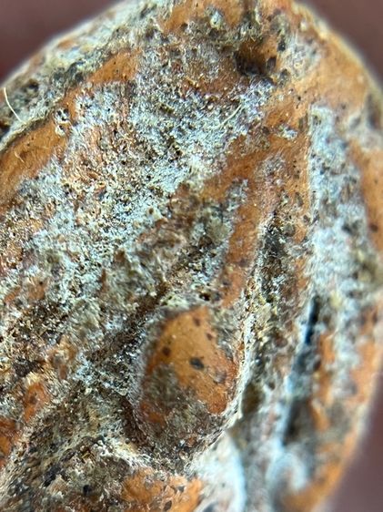 พระนางพญา รูปที่ 6