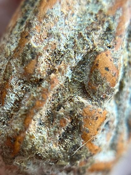 พระนางพญา รูปที่ 5