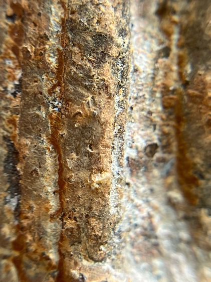 (ขายแล้ว)พระโคนสมอ รูปที่ 5