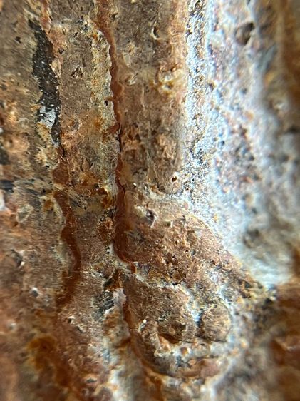 (ขายแล้ว)พระโคนสมอ รูปที่ 12