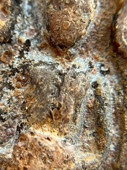 (ขายแล้ว)พระโคนสมอ รูปที่ 8