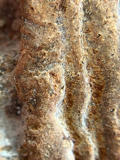 (ขายแล้ว)พระโคนสมอ รูปที่ 15