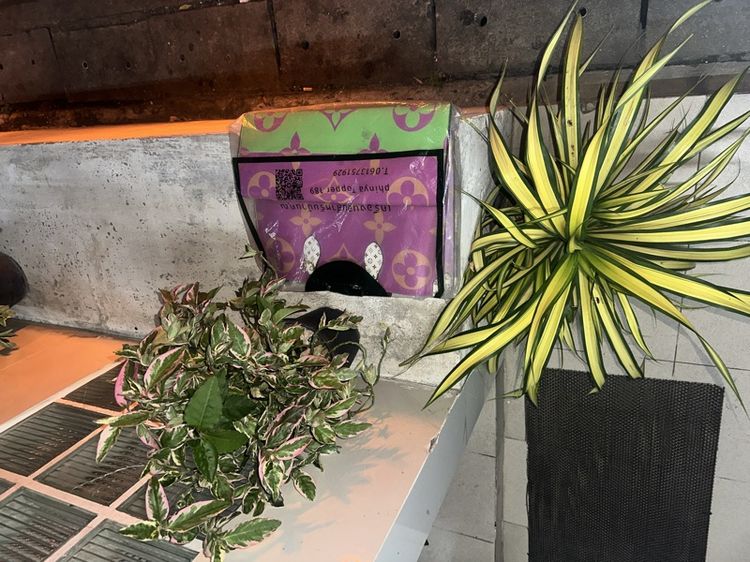 LOUIS VUITTON PARIS made in Frence รูปที่ 15