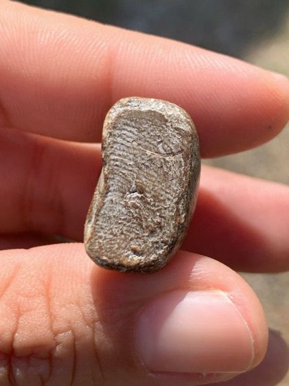 พระปิดตา รูปที่ 5