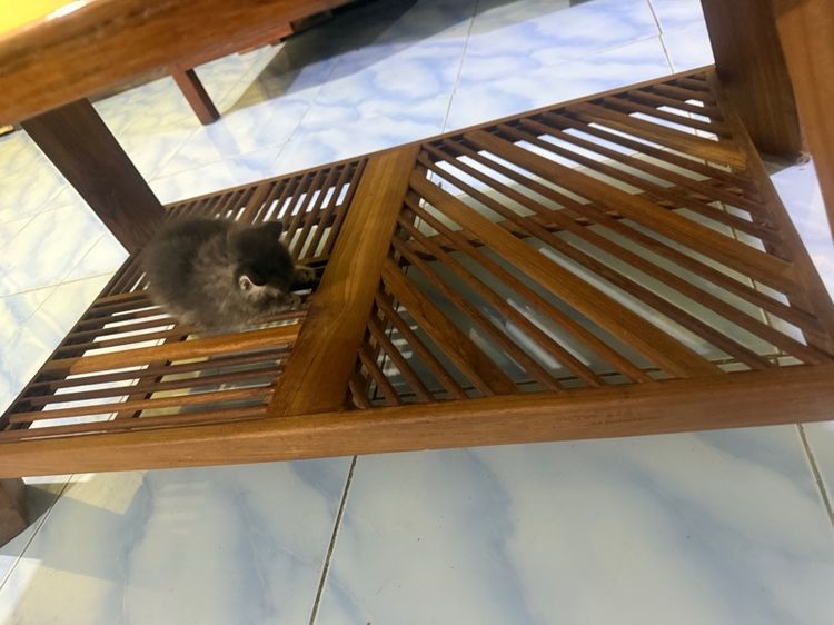 โต๊ะไม้สัก รูปที่ 11