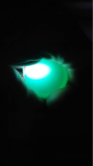 Green Chalcedony รูปที่ 5