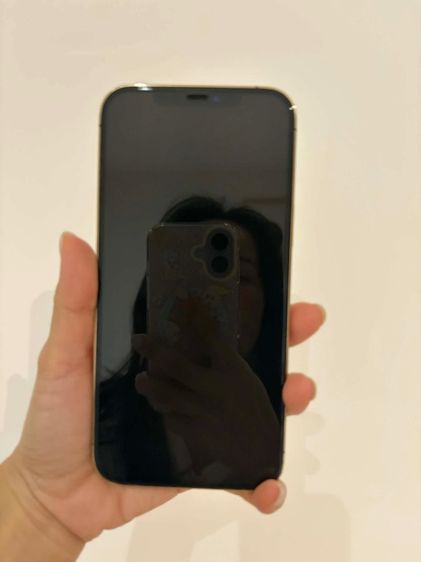 iPhone 12 Pro Max รูปที่ 2