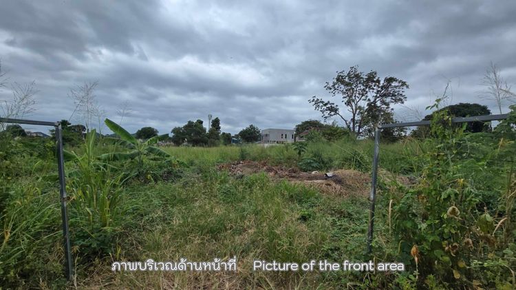 ขายที่ดิน ศรีราชา ชลบุรี ผังสีส้ม ใจกลางชุมชน เจ้าของขายเอง เหมาะทำทาวน์โฮม หรือคอนโด Low-rise รูปที่ 3