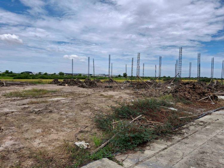 ที่ดิน รูปที่ 2