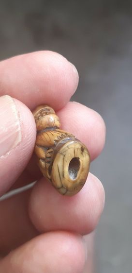 หลวงพ่อปาน รูปที่ 5