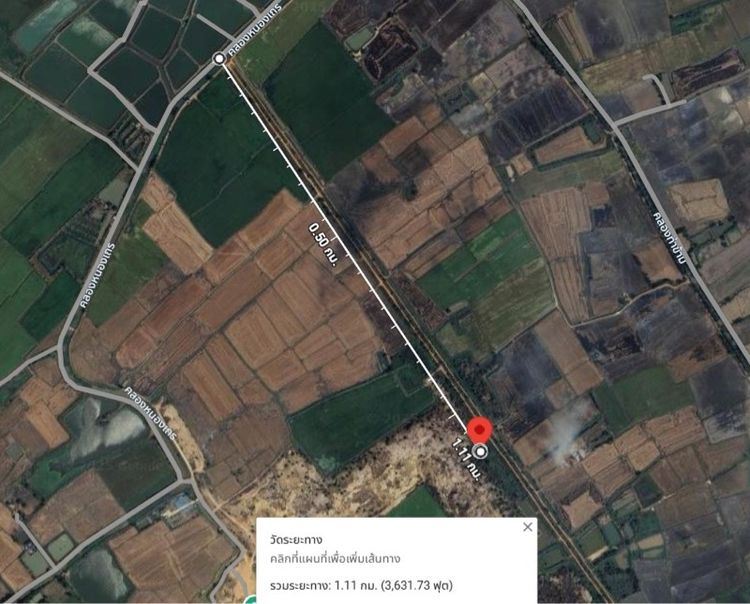 ไม่ใช่ ขายที่ดิน อ.พนัสนิคม จ.ชลบุรี รูปที่ 4