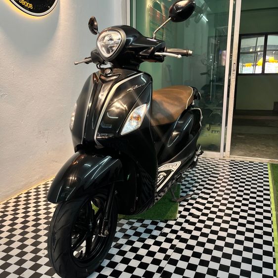 Grand filano รูปที่ 5