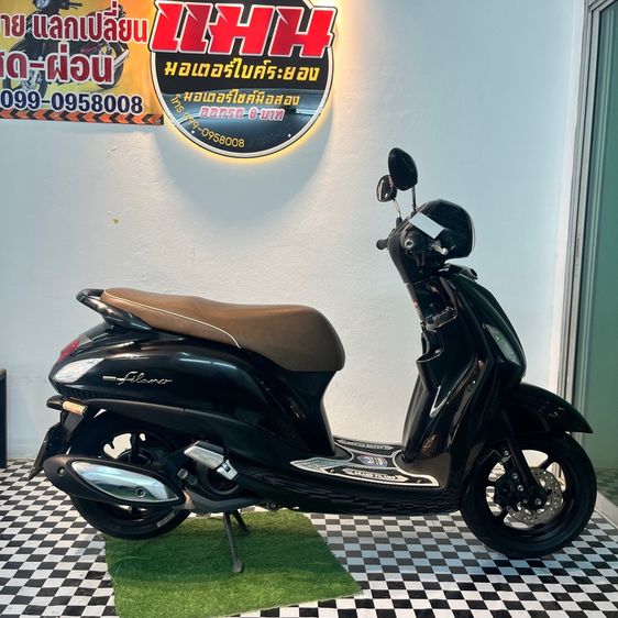 Grand filano รูปที่ 3