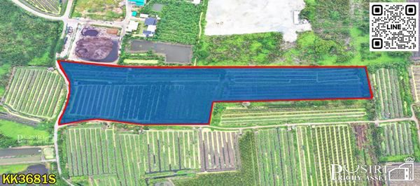 ขายที่ 31 ไร่ หน้ากว้างมาก 133 เมตร ราคาคุ้มสุดในตลาดเชื่อมต่อหลายเส้นทาง ถนนสวนส้ม บางปลา และพระราม 2 - KK3681S รูปที่ 3