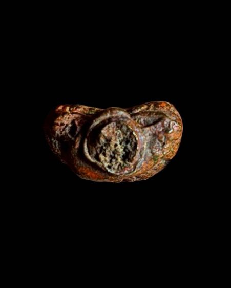 พระชัยวัฒน์ รูปที่ 9