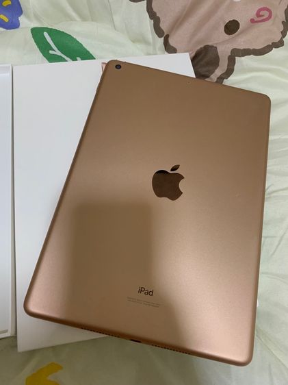 ipad gen8