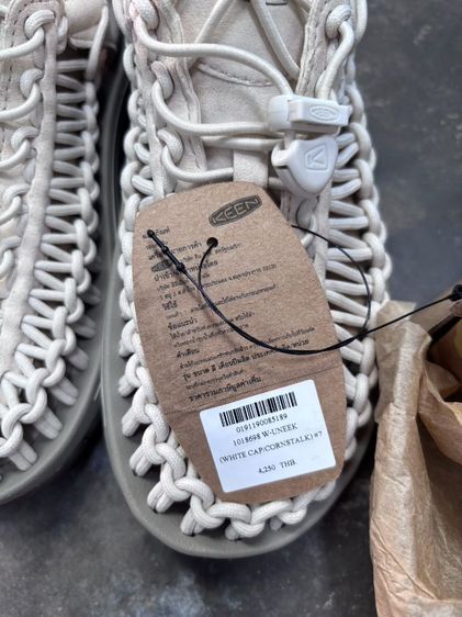 ขายครับผม keen white cap cornstalk 