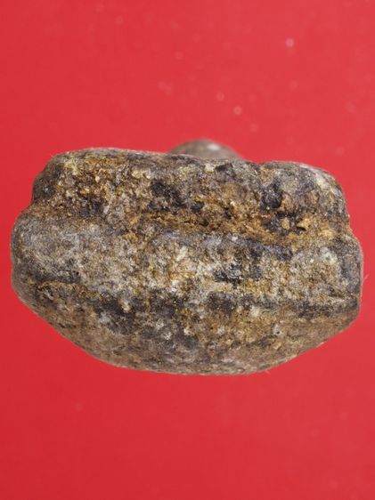 ด32-ด33.พระรอด-หลวงปู่ทวด องค์ๆละ 419 บ. รูปที่ 7