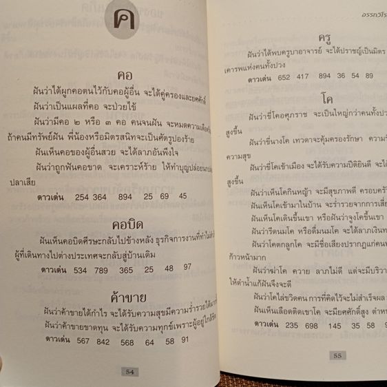 คำทำนายฝัน โดย อรรถวิโรจน์ ศรีตุลา รูปที่ 13