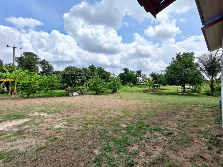 ไม่มี 2017 ขายบ้านพร้อมที่ดินติดถนนสาธารณะ ต.บางทรายใหญ่ จ.มุกดาหาร ราคา 1.7 ล้าน รูปที่ 3