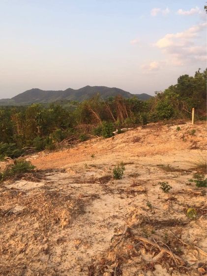 ใช่ ขาย ที่ดิน เกาะยาว จ.พังงา รูปที่ 3