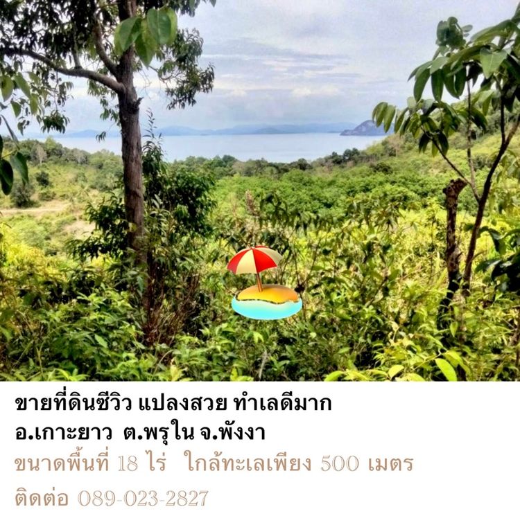 ขาย ที่ดิน เกาะยาว จ.พังงา