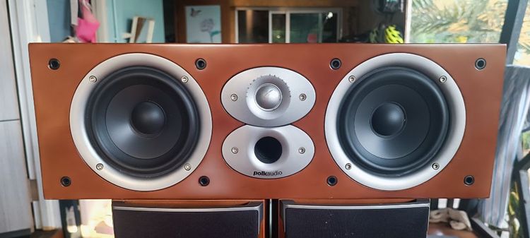 ลำโพงเอ็นเตอร์ polk รูปที่ 2