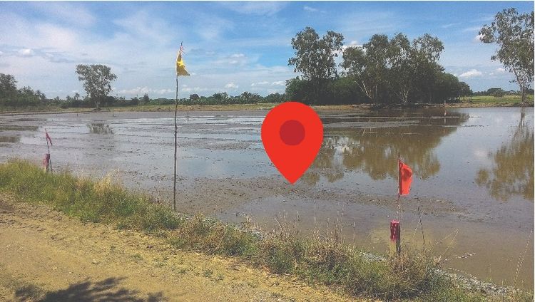 ขายใช้หนี้ ที่ดิน101ตรว. 769,000บาท พุทธมณฑล นครปฐม