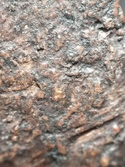 พระนางพญาเนื้อดินตรับ รูปที่ 13