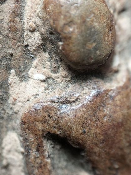 พระกำแพงซุ้มกอเนื้อดินครับ รูปที่ 5