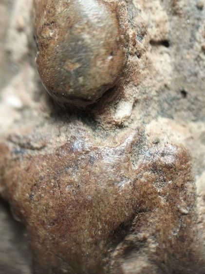 พระกำแพงซุ้มกอเนื้อดินครับ รูปที่ 3