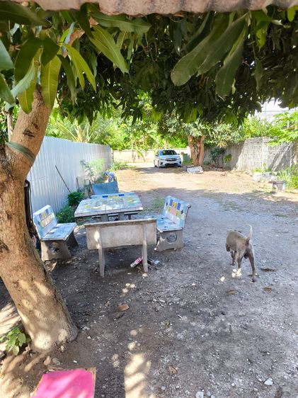 ไม่มี สร้างเสร็จก่อน 2010 ขายห้องแถว5ห้อง รูปที่ 2