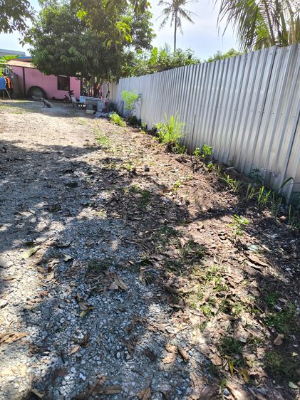 ขายห้องแถว5ห้อง