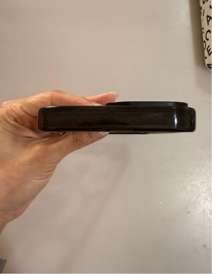 16 Promax Casetify รูปที่ 5