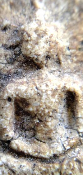 พระสมเด็จวัดระฆัง บางขุนพรหม เกศไชโย หลวงปู่ภู หลวงปู่นาค หลวบพ่อโหน่ง รูปที่ 9